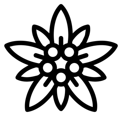 Edelweiss Edelweiss