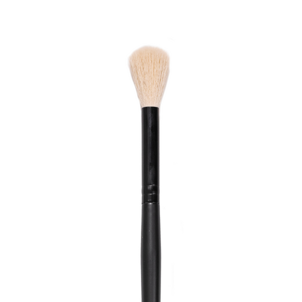 BPF01 - Large Highlight Brush