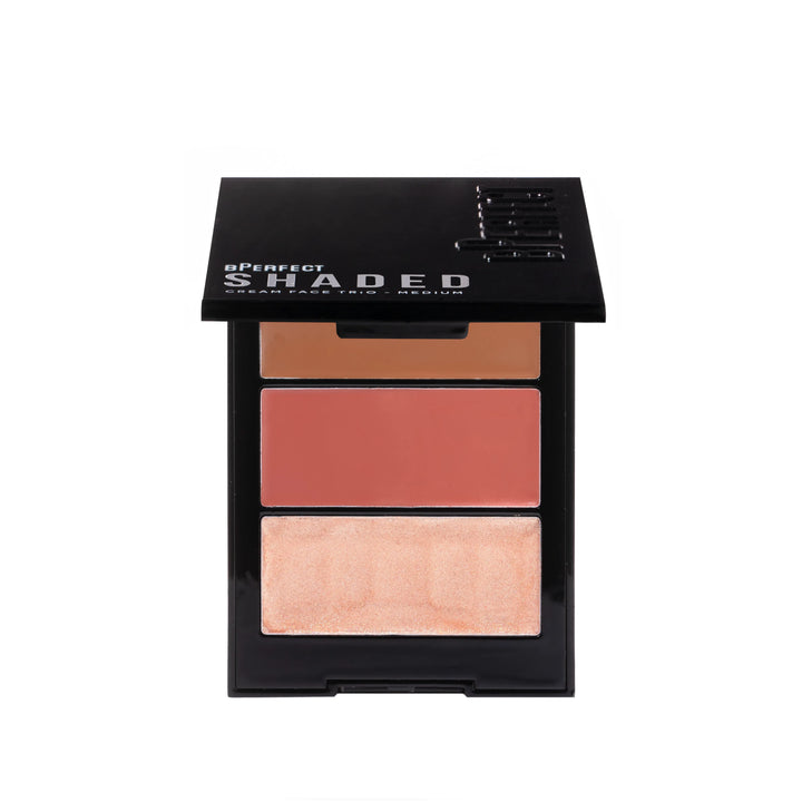 bPerfect Cosmetics Shaded palette showing shimmer and matte shades on a white background