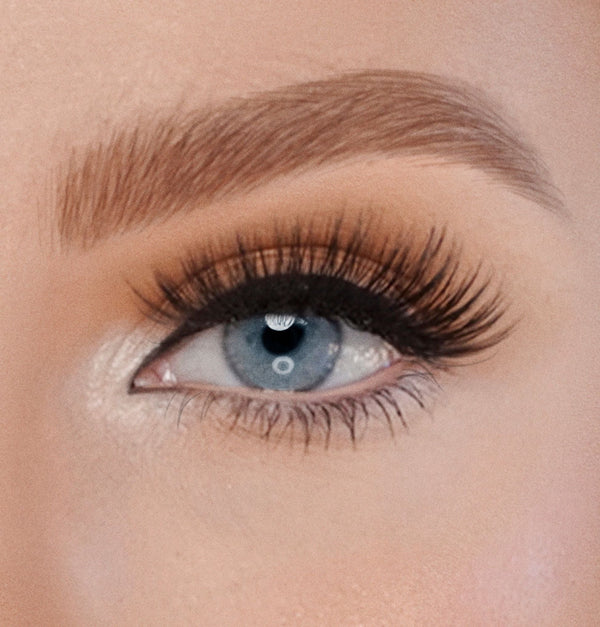 Universal Lash - SIGNS